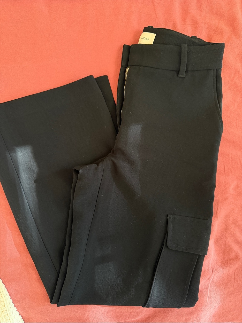 Aritzia Wilfred Black Cargo Pants